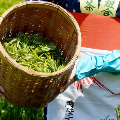 蜂蜜菊花茶 80g/試飲包